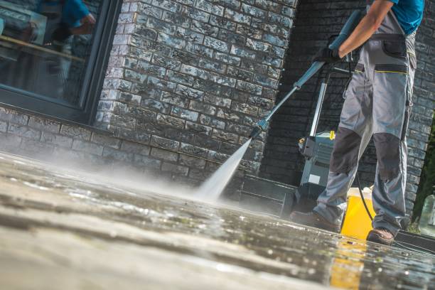 Best Driveway Pressure Washing  in Presidio, TX
