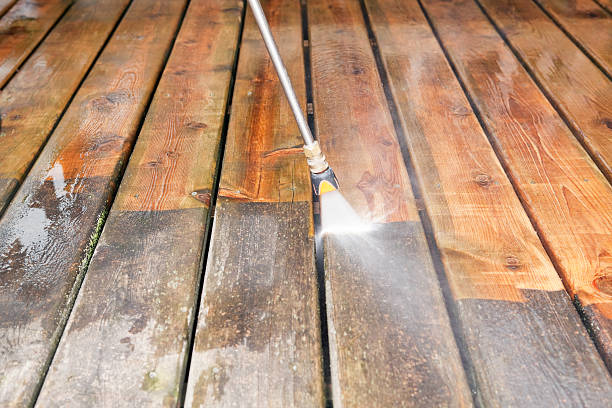 Best Solar Panel Cleaning  in Presidio, TX